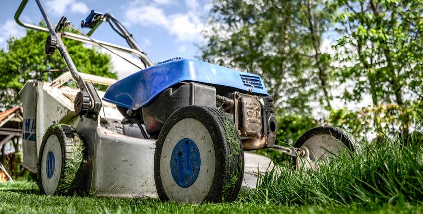 Handyman Services Wollongbar, Gardening Alstonville, Garden Maintenance Ballina