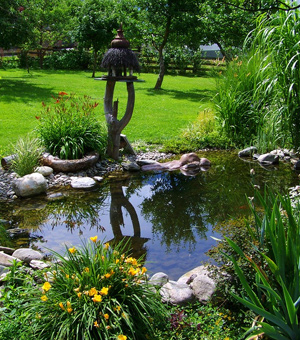 Property Maintenance Goonellabah, Gardening Alstonville, Garden Maintenance Ballina